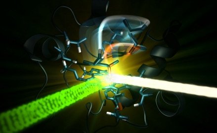 02-bioquimica-y-biofisica-molecular-270.jpg
