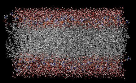 04-bioinformatica-y-sistemas-complejos-270.jpg