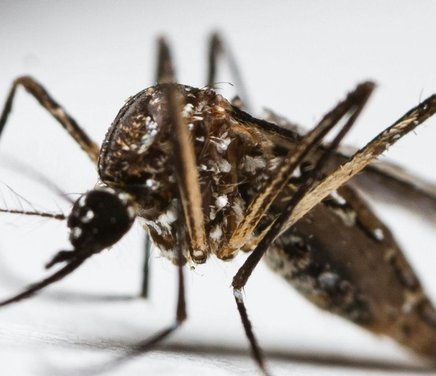 Anita - Portada Web  (37).jpg