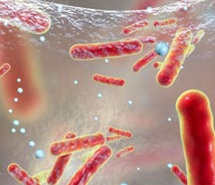 BIOFILM MICROBIANOS.jpg