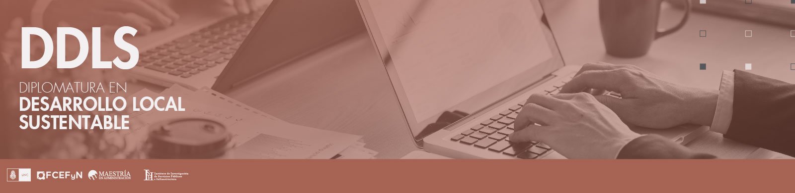 Banner WEB_DDLS.jpg