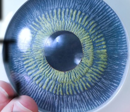 Beca Interna Doctoral CONICET Formulaciones oftalmológicas de losartán para el tratamiento de la vitreorretinopatía proliferativa.jpg