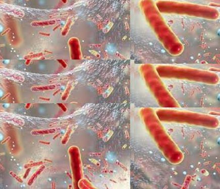 Biofilm Microbianos.jpg