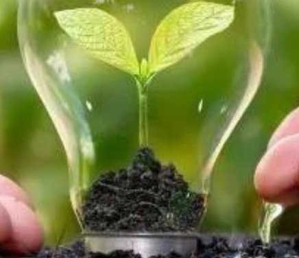 Caracterización de Bioinsumos de uso en la producción agroecológica de alimentos.jpg