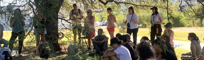 El Bosque Nativo Vuelve.jpg