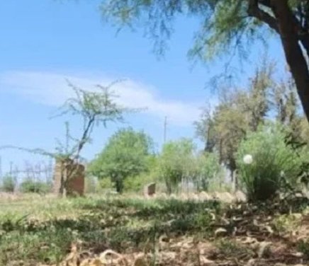 Interacciones en neoecosistemas del Chaco Serrano El rol de mamíferos nativos y exóticos en la dispersión de semillas de leñosas.jpg