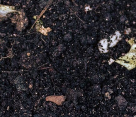 La materia orgánica como propiedad clave del suelo.jpg