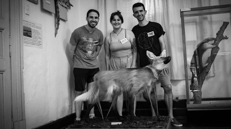 Museo-antropologia-Zoologico-UNC-Aguara-Guazu.jpg