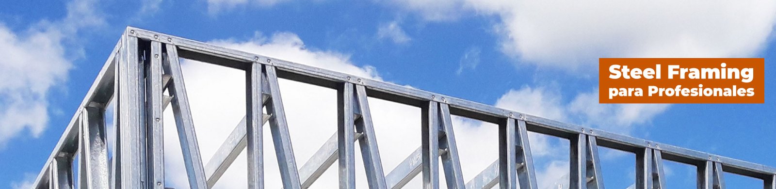 Portada_Steel Framing.jpg