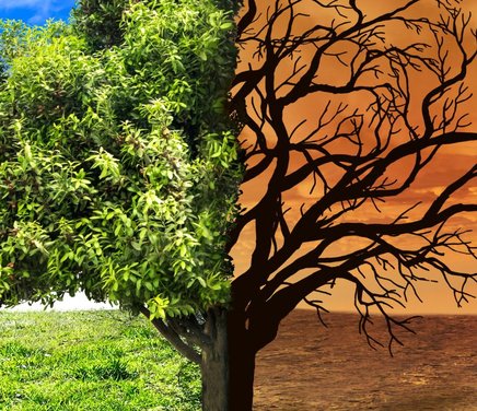 Desarrollo de sensores de contaminantes atmosféricos