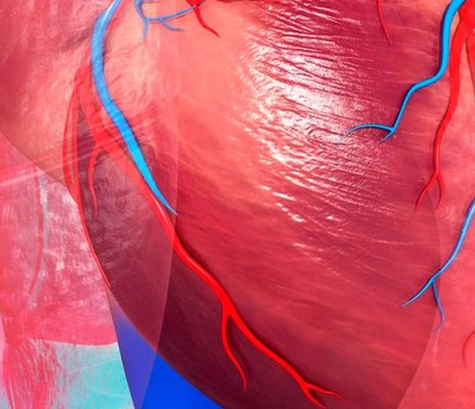 Síndrome metabólico, factores de riesgo cardiovascular y alimentación en jóvenes universitarios de Córdoba