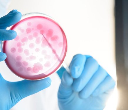 microbiologia