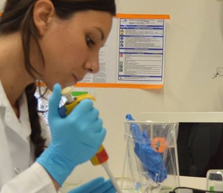 Ingeniería química