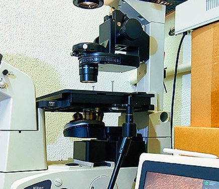 Ayudantías de investigación en la cátedra Fisiología Animal