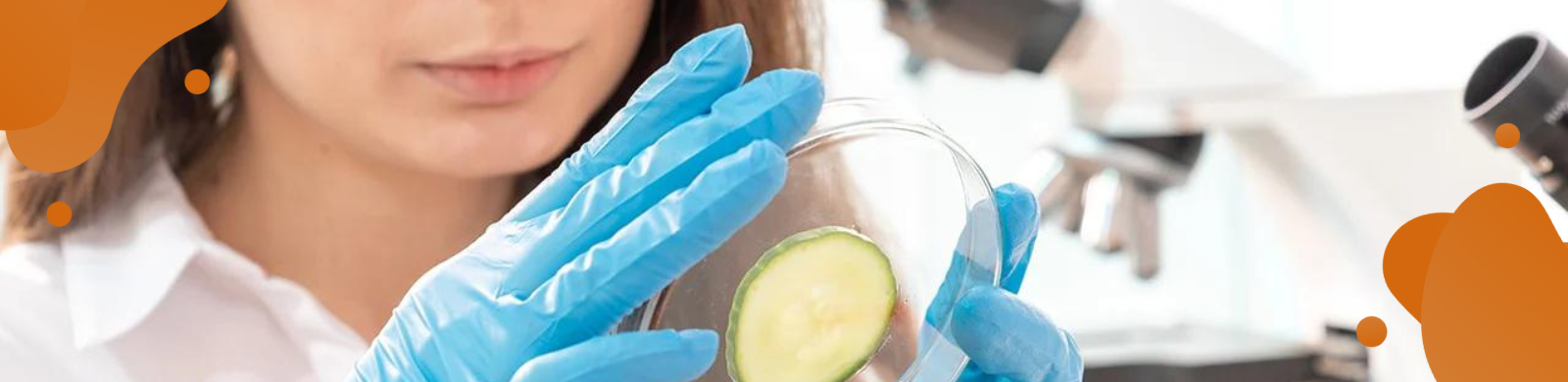 Innovacion alimentos