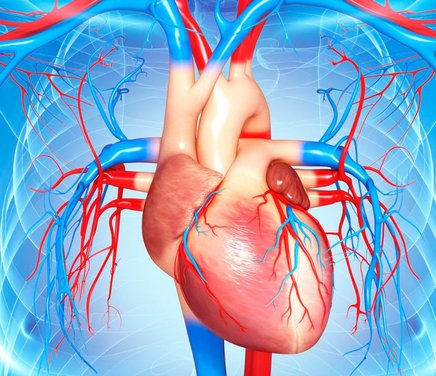 Síndrome metabólico, factores de riesgo cardiovascular, estrés y alimentación en jóvenes universitarios de Córdoba (continuación - 2º etapa).jpg