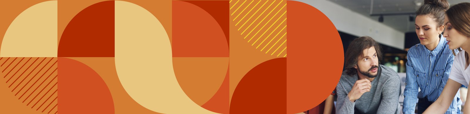 Sistema Organizacional para la Excelencia_WEB_1-11.jpg