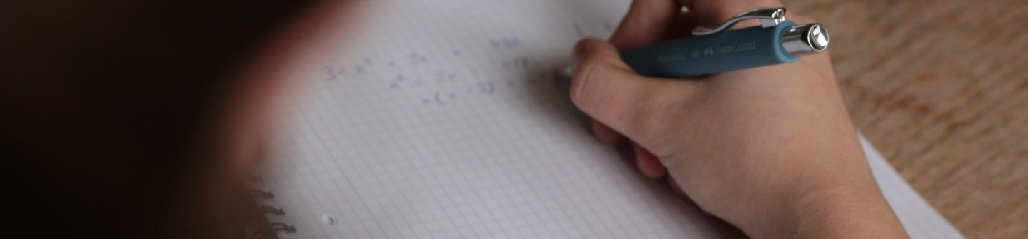 Cronograma de turnos y llamados a examen