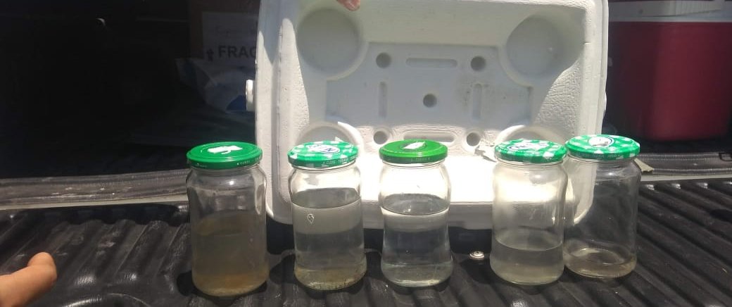 CYANO
