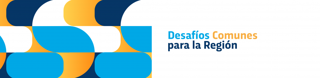Desafíos Comunes para la Región- RELAI