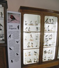zoología 2
