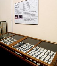 zoología 1