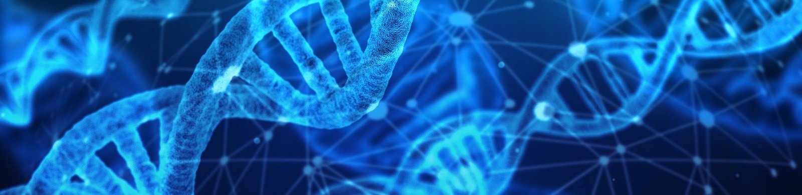 dna-3539309_1920.jpg