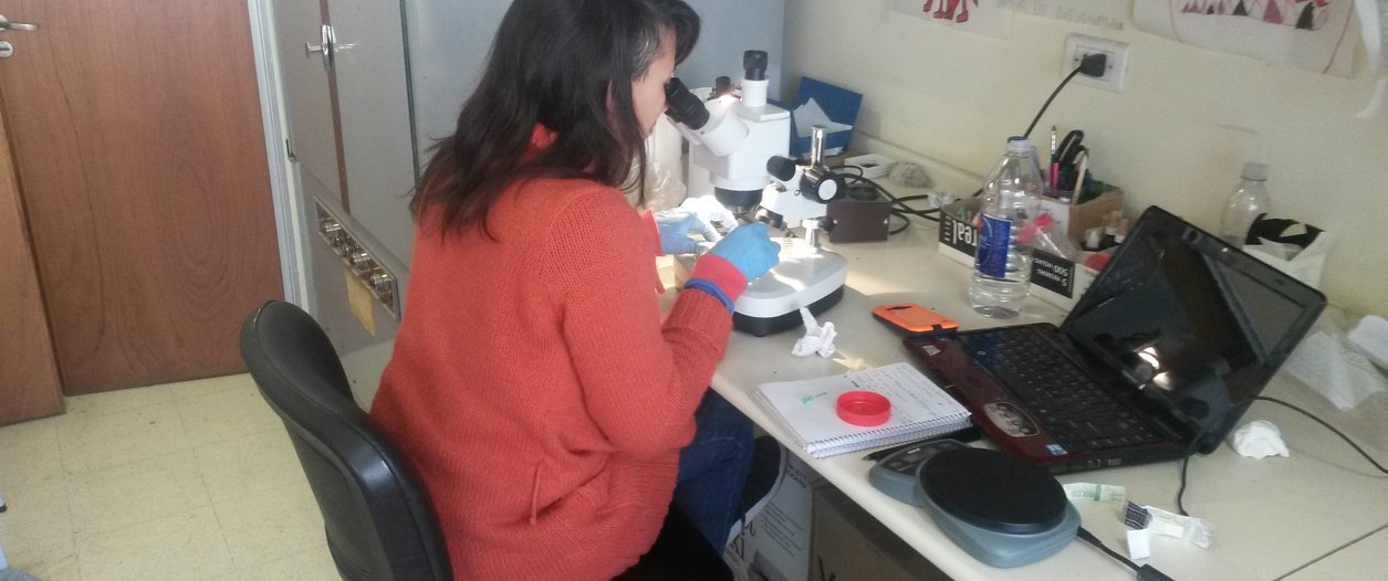edtih lab.jpg