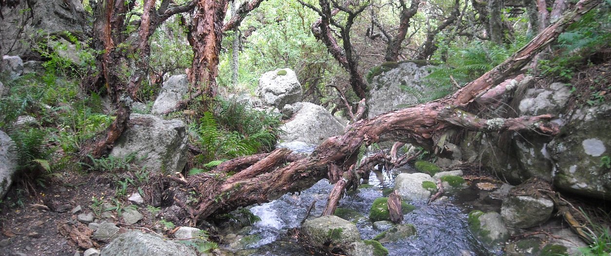 el hueco.jpg