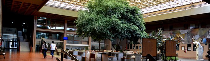 institucional-1.jpg