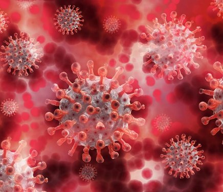 micovirus 2.jpg