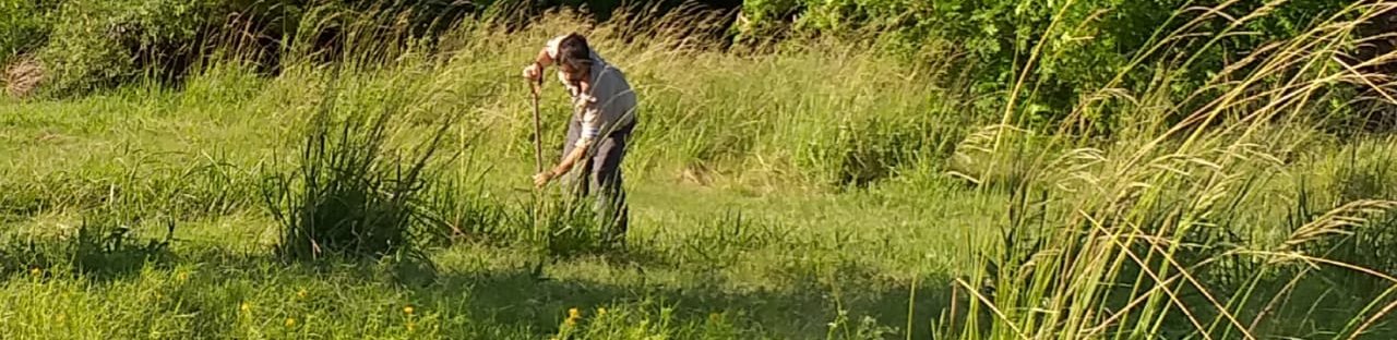 plantando 5.jpeg