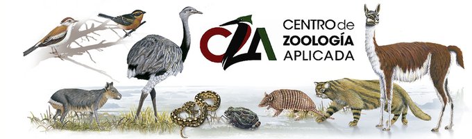 portada pagina cza.jpg