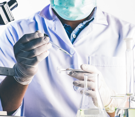 Ayudantías de Investigación